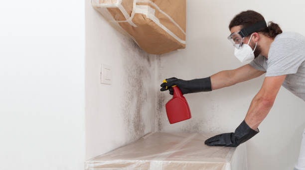 Professional Bathroom Mold Removal technician working in Oak Ridge, NJ