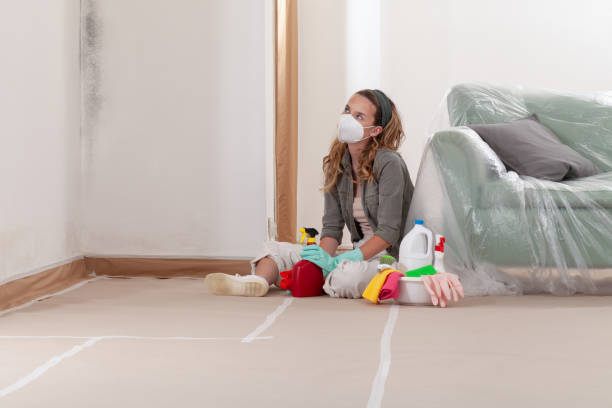 Reliable Bathroom Mold Removal contractor in Oak Ridge, NJ by WQB Mold Removal